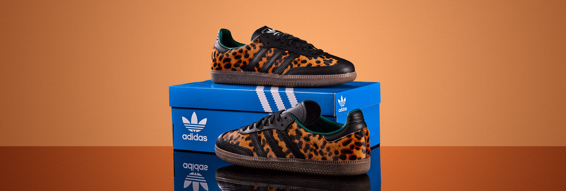 Image de diapositive