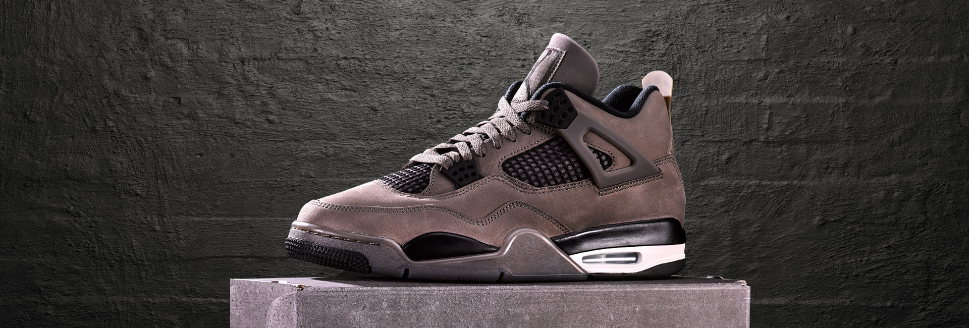 Immagine diapositiva