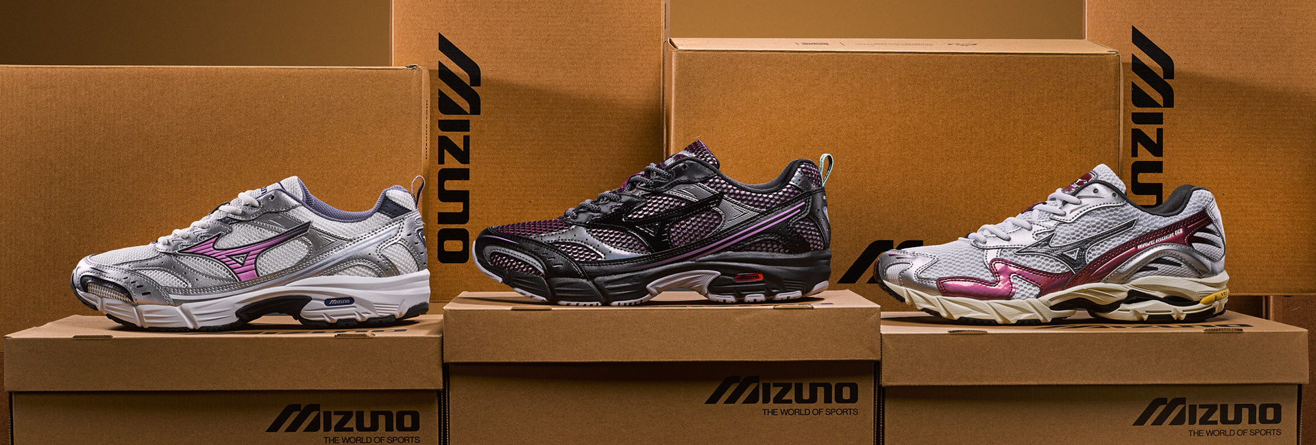 Immagine diapositiva