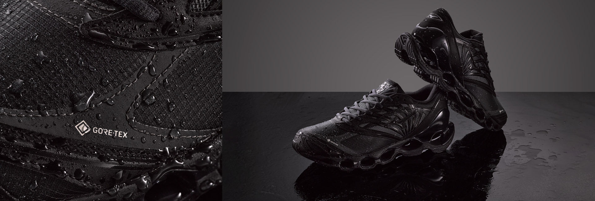 Immagine diapositiva